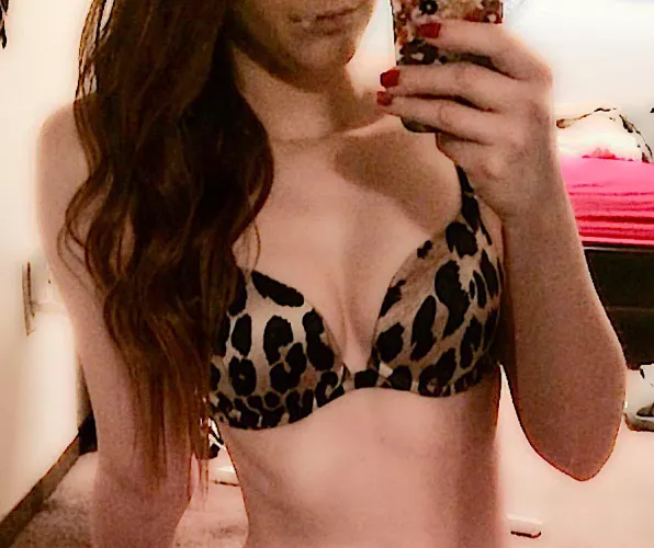 Your small town ginger