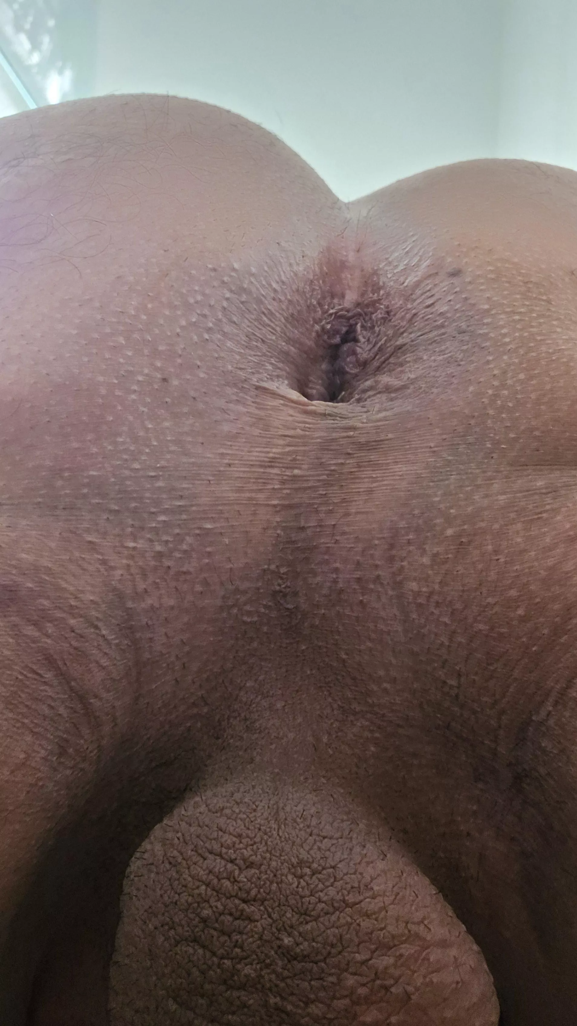 43 Looking to get this thing beat up, can travel.