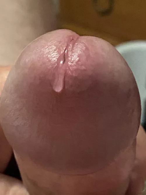 (59) So excited about Thanksgiving! Here’s your drumstick!