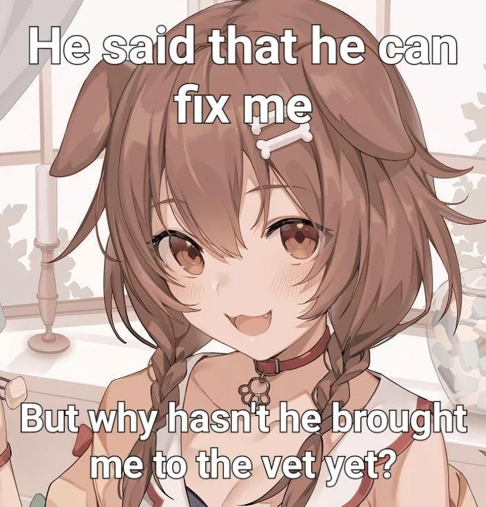 A puppy girl needs to be fixed for unli breeding