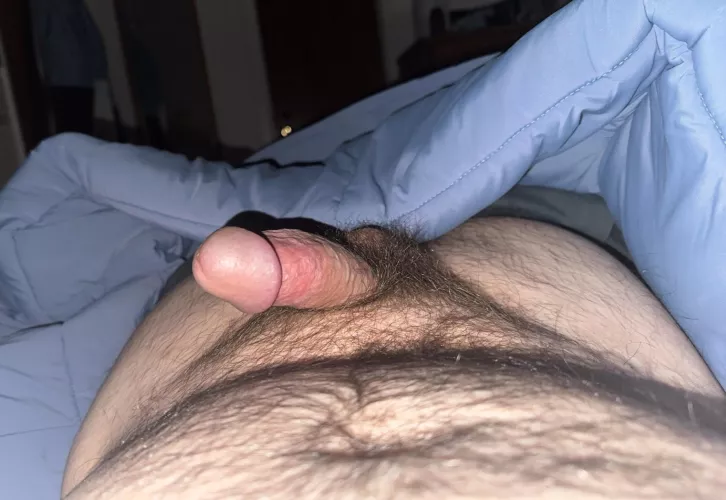 Any discreet/DL/masculine guys looking to have some fun, hit me up. I’m 31, bi, masc, 6’2”, 5.5”/6” cut, dad bod/small husky build. Located in Denver, CO. Down for snap play as well. 