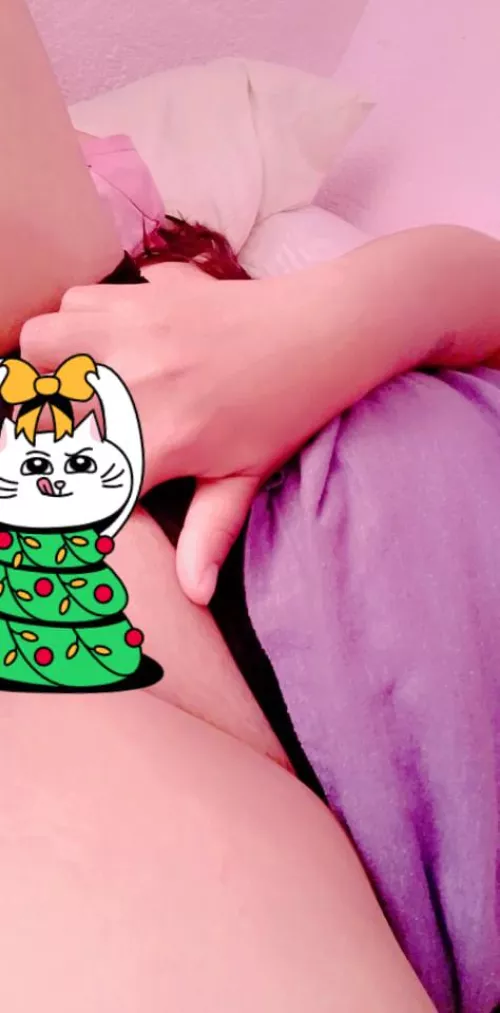 Christmas is coming and I have your gift