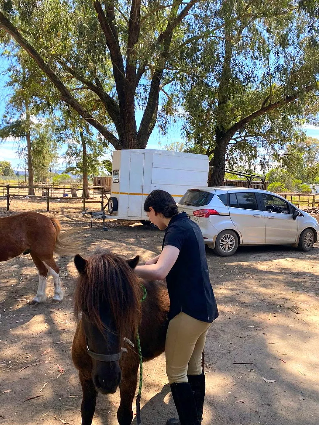 Come watch me clean the ponies? 😋