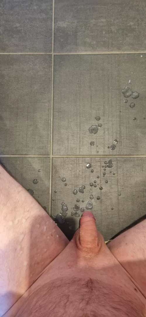 DNN - Daily Nut November 