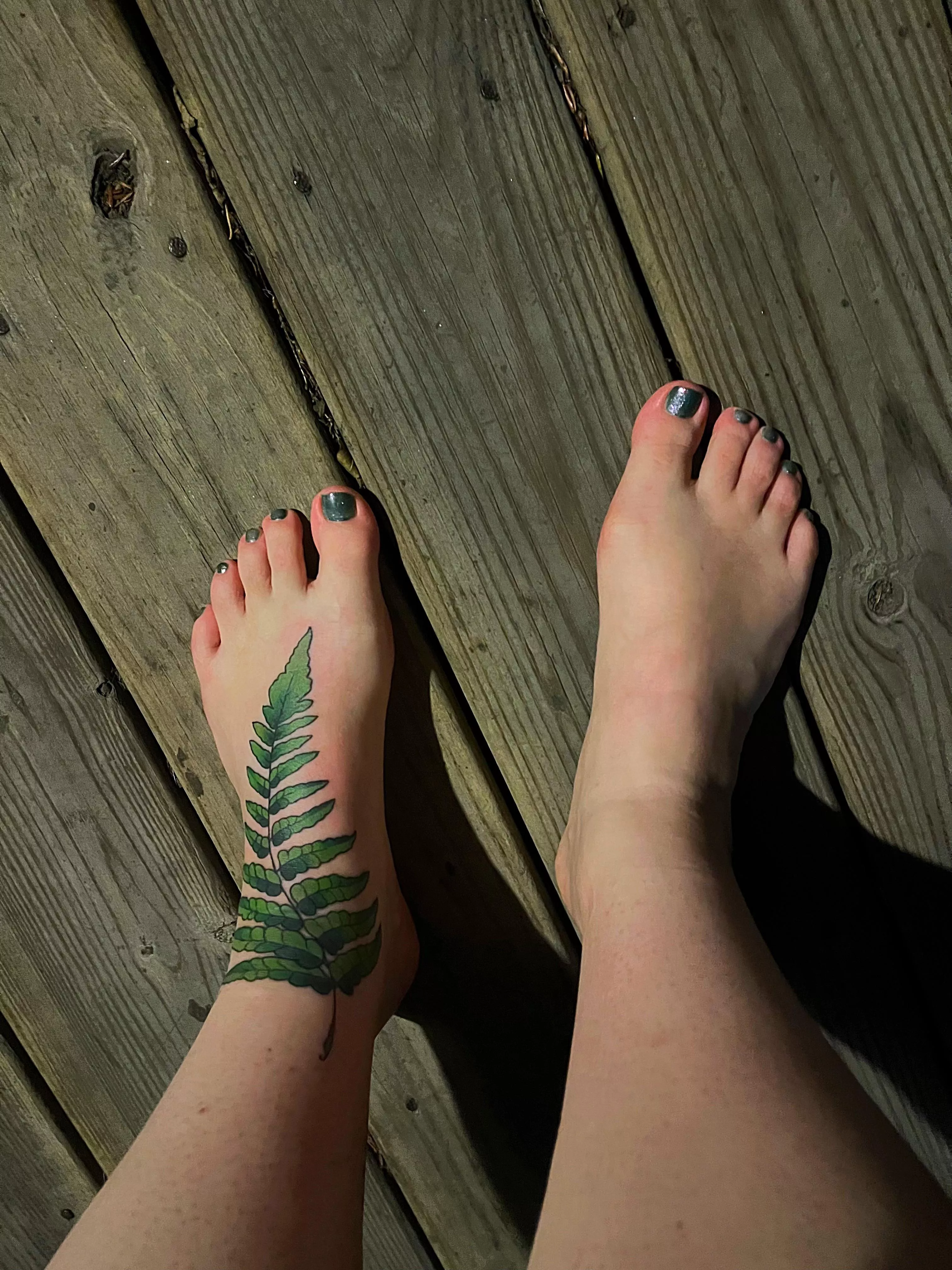 Fresh new fern tattoo! 💚🌿