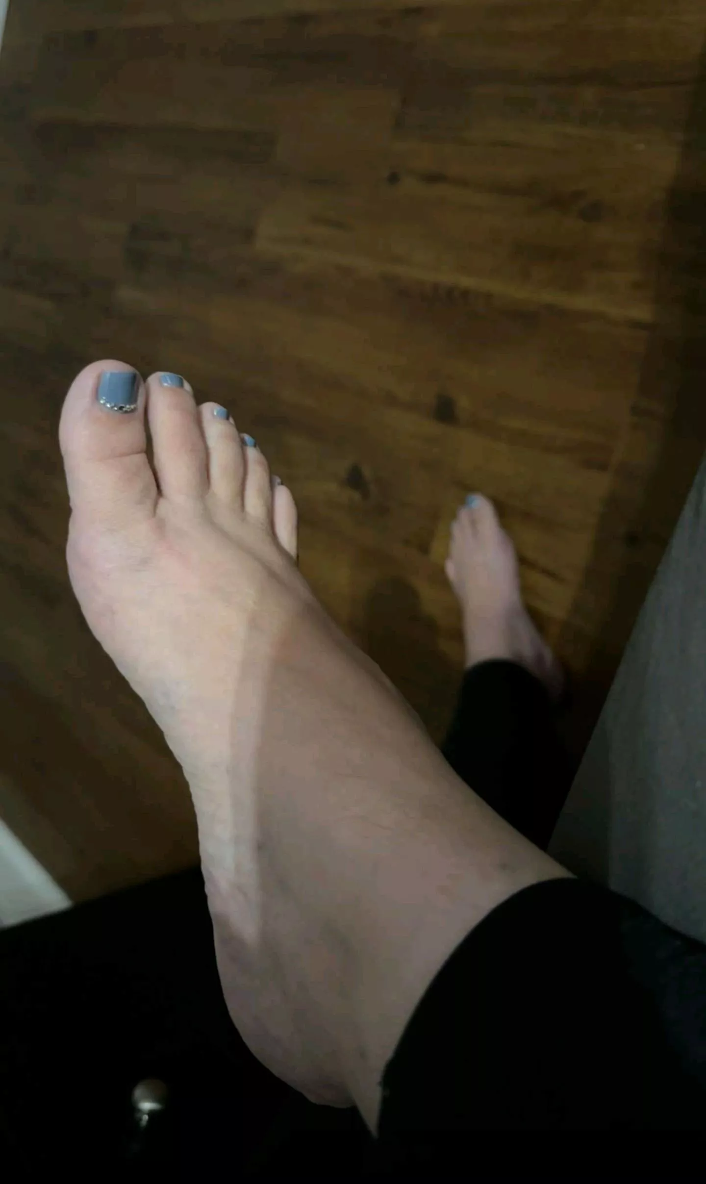 Good morning piggies