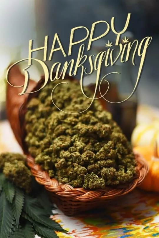 Happy Danksgiving 🦃🍃💨