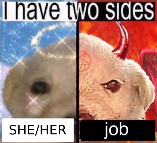 help me how do I do this stuff. completely new to pet/pup stuff but my amazing and lovely girlfriend is *very* into it