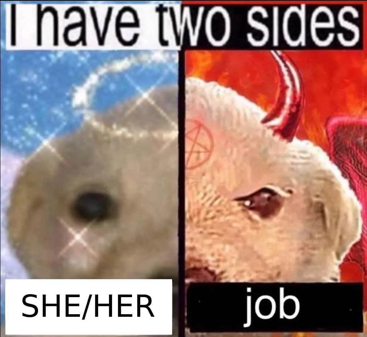 help me how do I do this stuff. completely new to pet/pup stuff but my amazing and lovely girlfriend is *very* into it