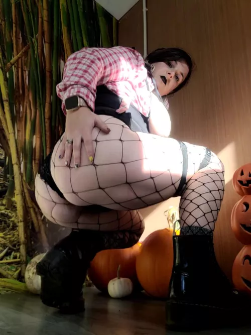 Hope all had a great thanksgiving 