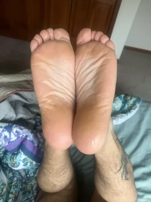 How do they look? 