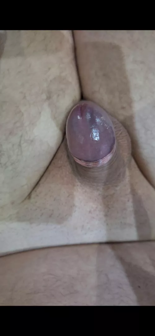 I belong here wheather I like it o not!