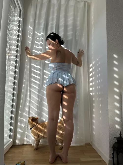 im just your 19 year old maid i wont tell your wife