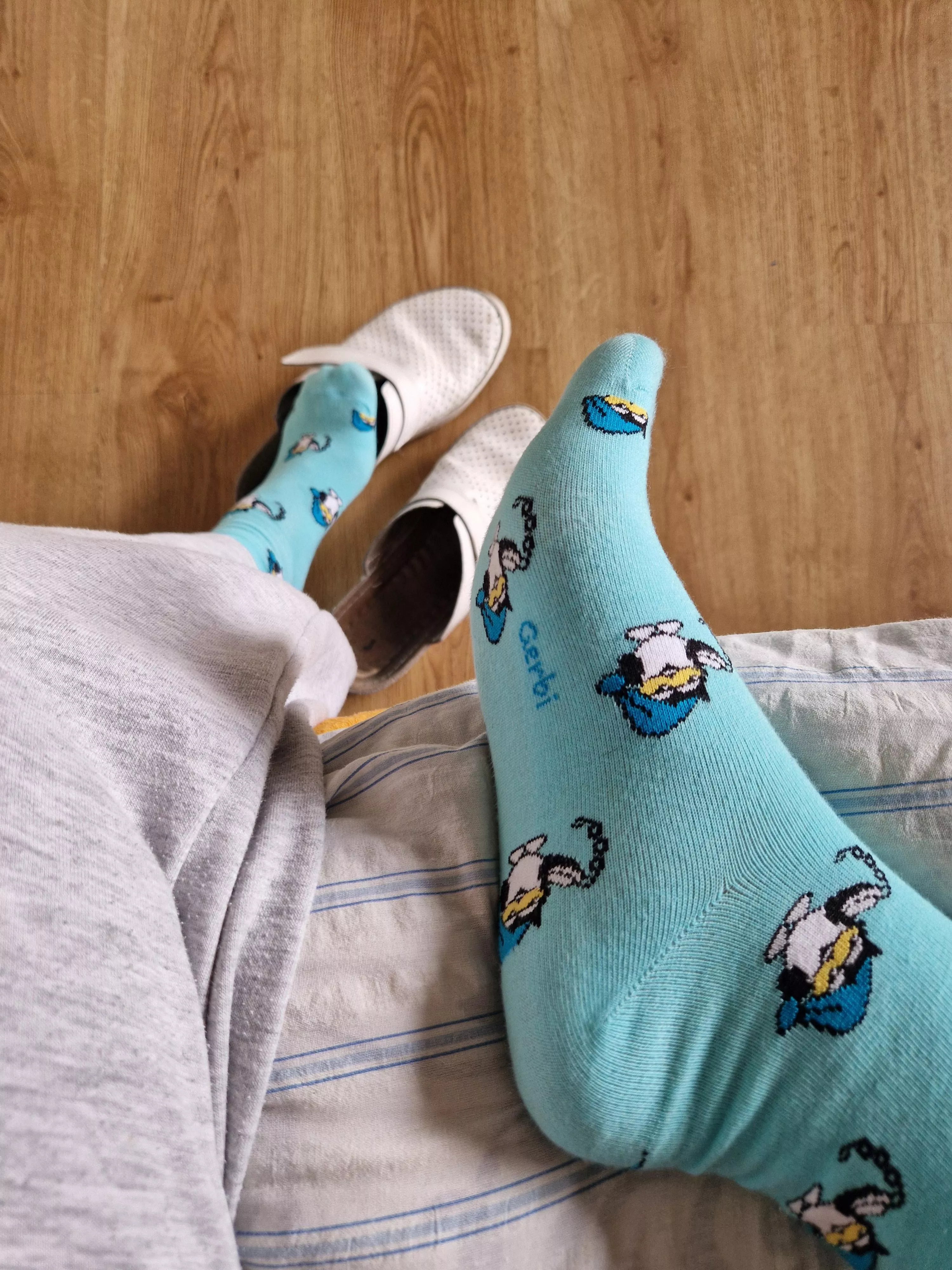 In love with these penguins 