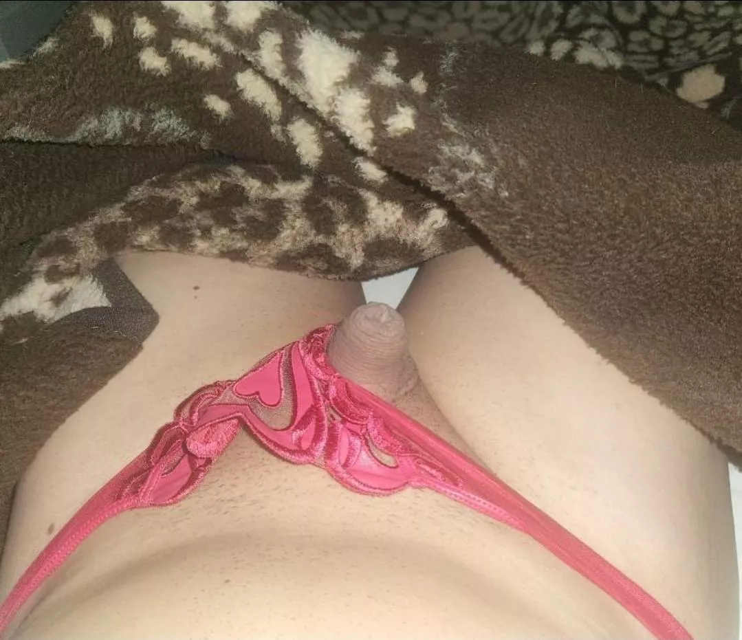 it looks so pathetic but it fits in panties b