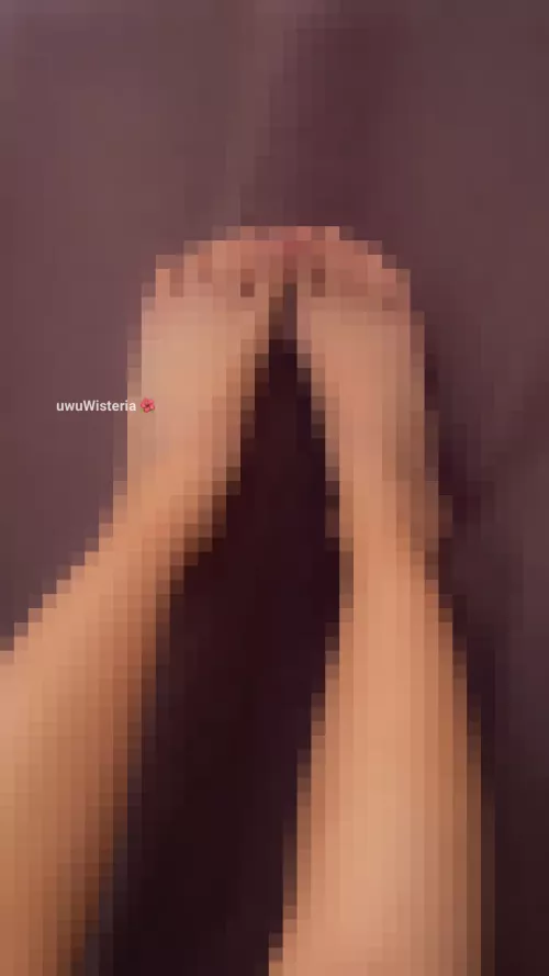 it's feeding time pet 🥰