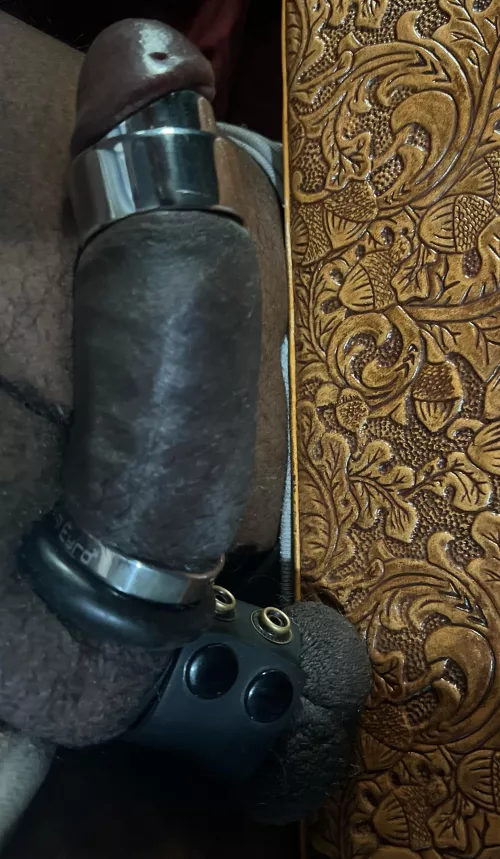 Journaling my process day 15