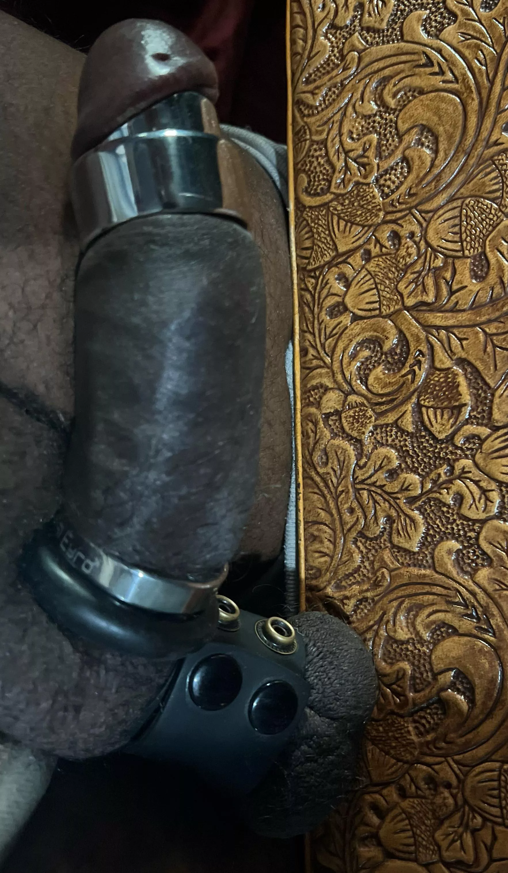 Journaling my process day 15