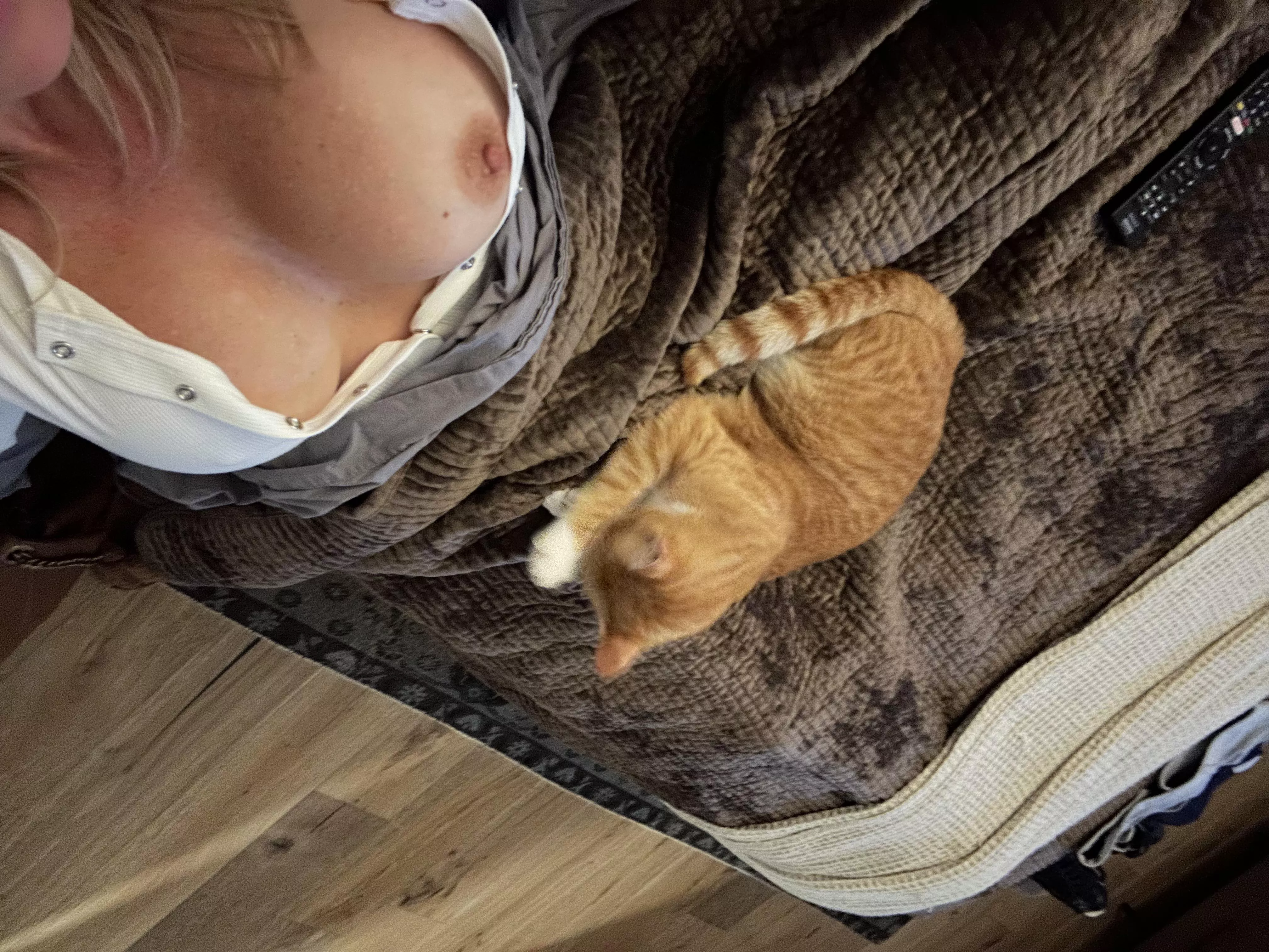 Just a little pussy and nips 😝