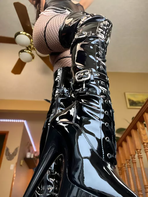 Make them sparkle pet