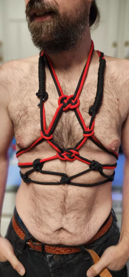 Mommy made me an harness for tonight party 