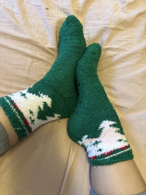 New Christmas fuzzies! 