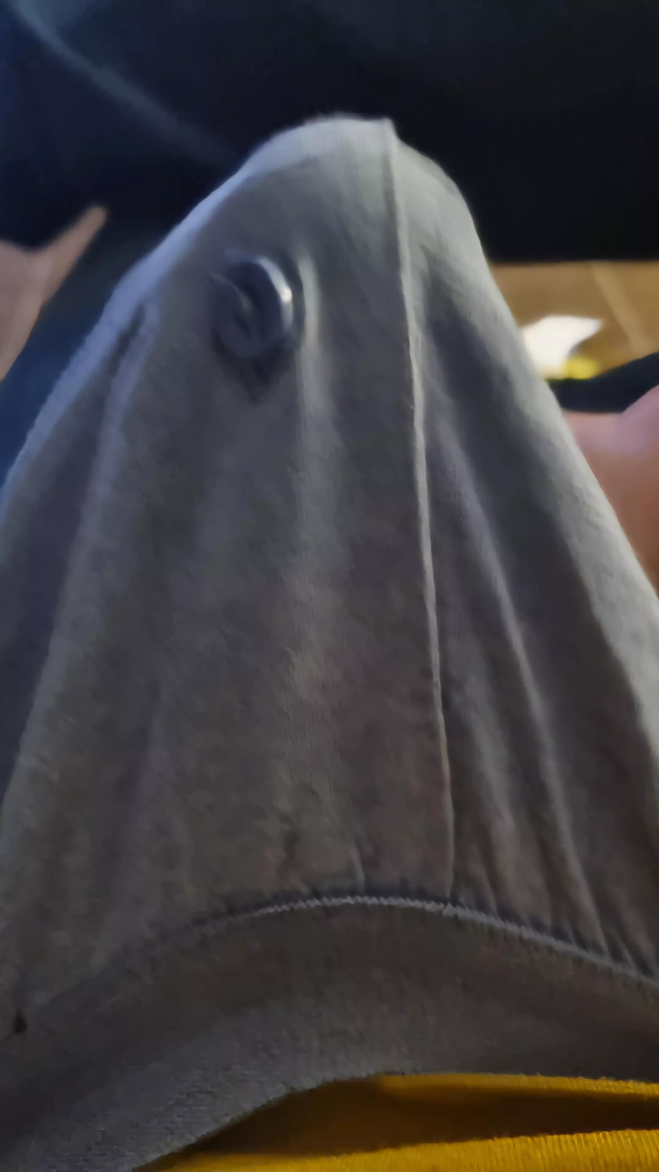 Now that I've (41) pitched the tent, we should find some hard wood to heat things up.