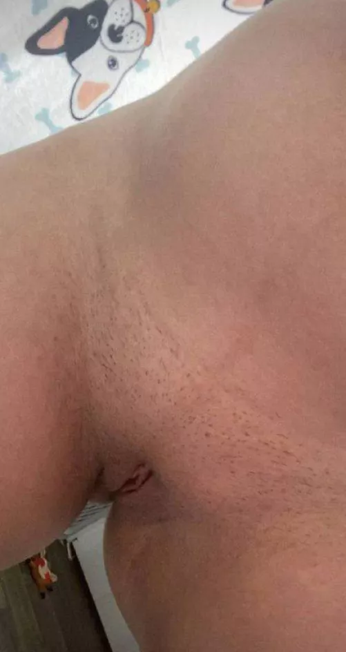 Permission to sit on your face?