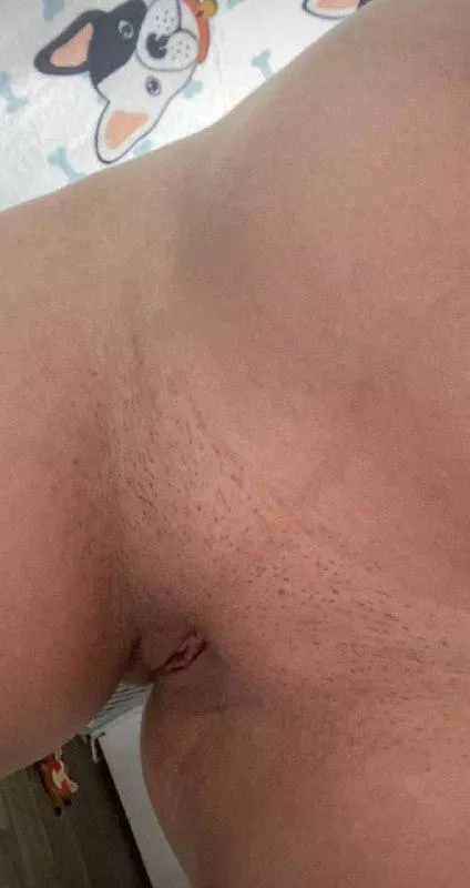 Permission to sit on your face?