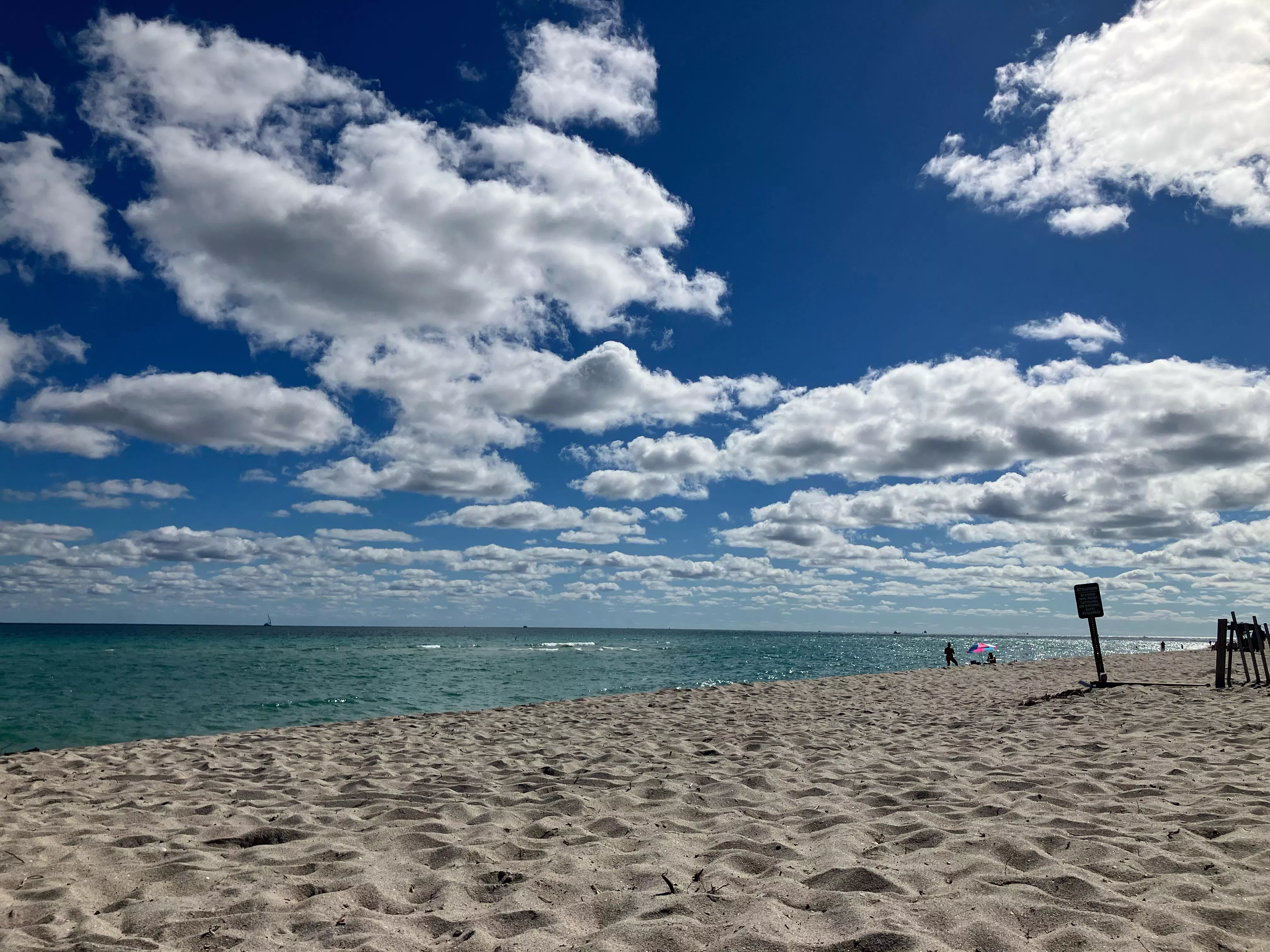 Pre-Happy Thanksgiving Everyone 