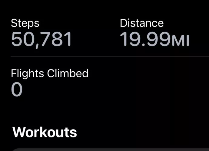 puppy likes going on walks…>\\\<