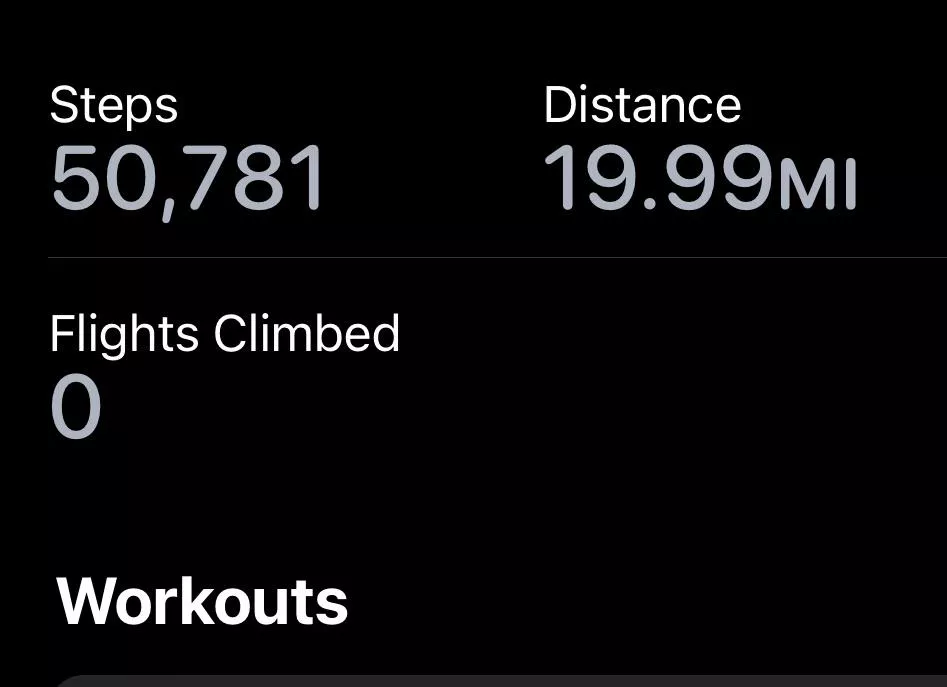 puppy likes going on walks…>\\\<