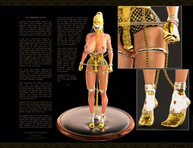 Slave Uniforms Page 32 Concubine