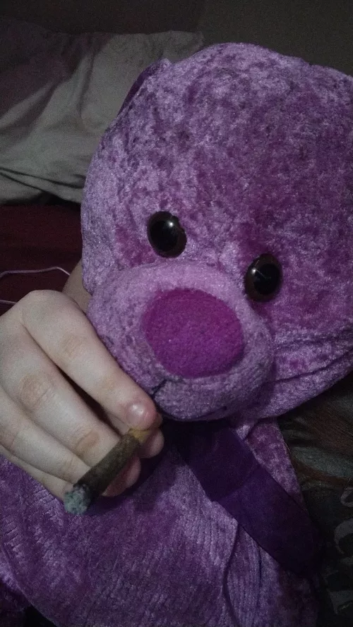 Sometimes your stuffies want a hit hehe