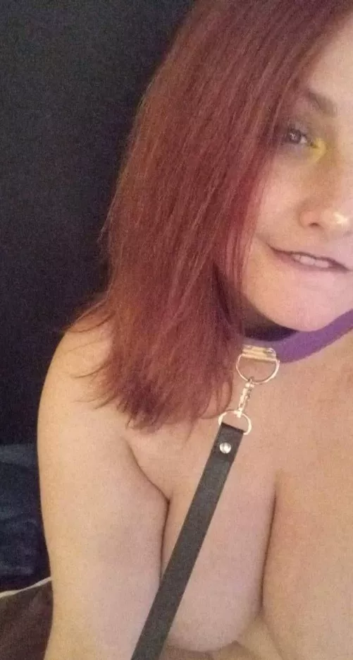 Stuff me in front of the family for the holiday? Plz