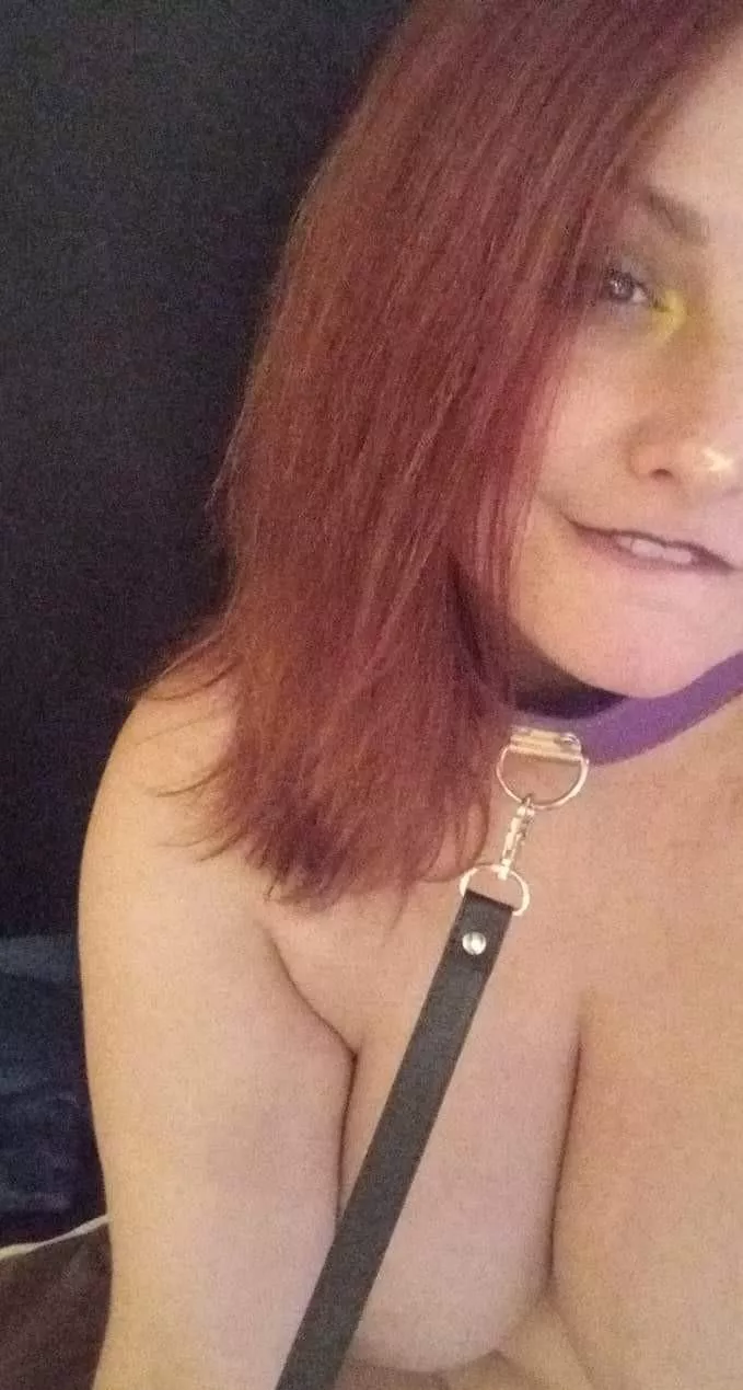 Stuff me in front of the family for the holiday? Plz