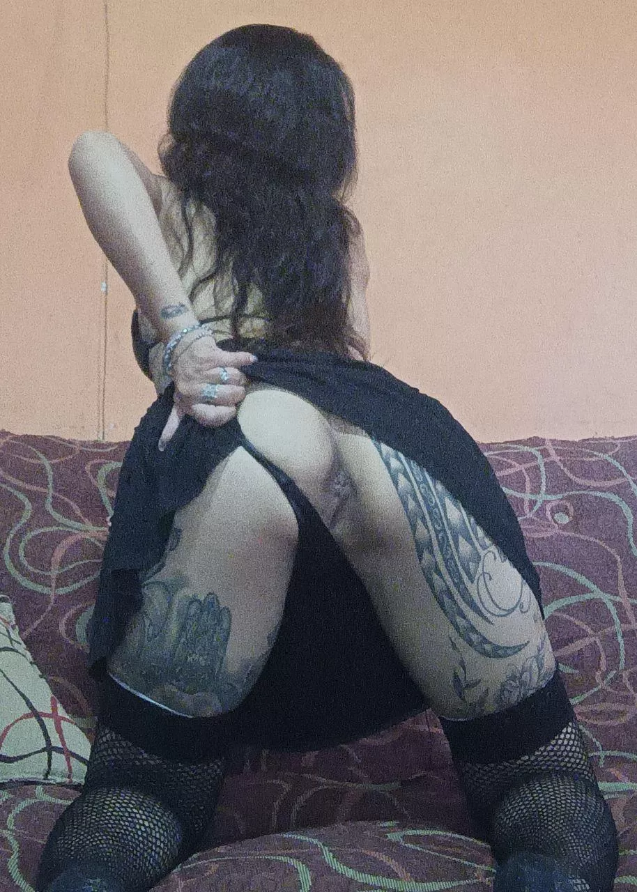 What are you doing to me? A) breeding B) licking C) anal D) all of the above	
 