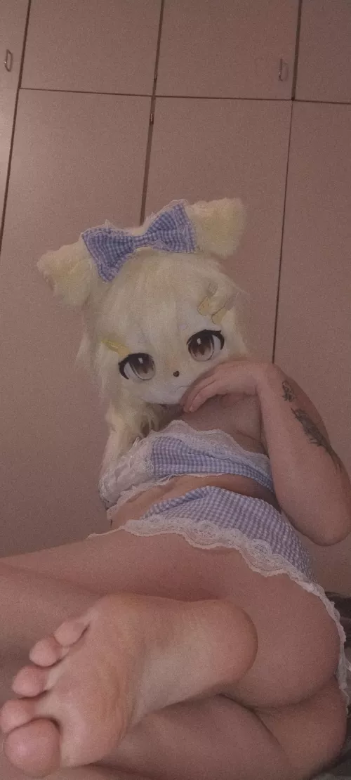 What are you grabbing first🐶