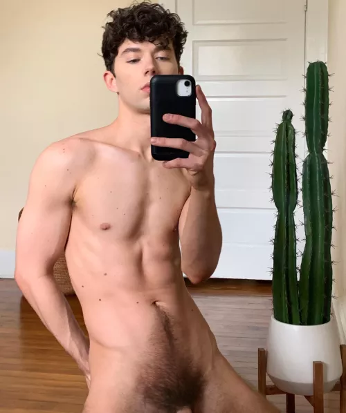 What do you think about the bush? Should I keep it