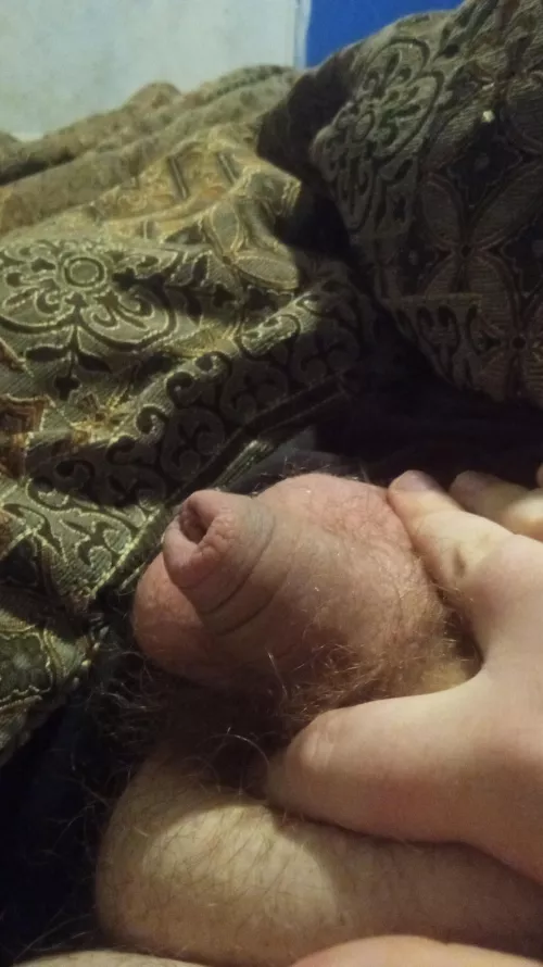 What would you do with it or do to it