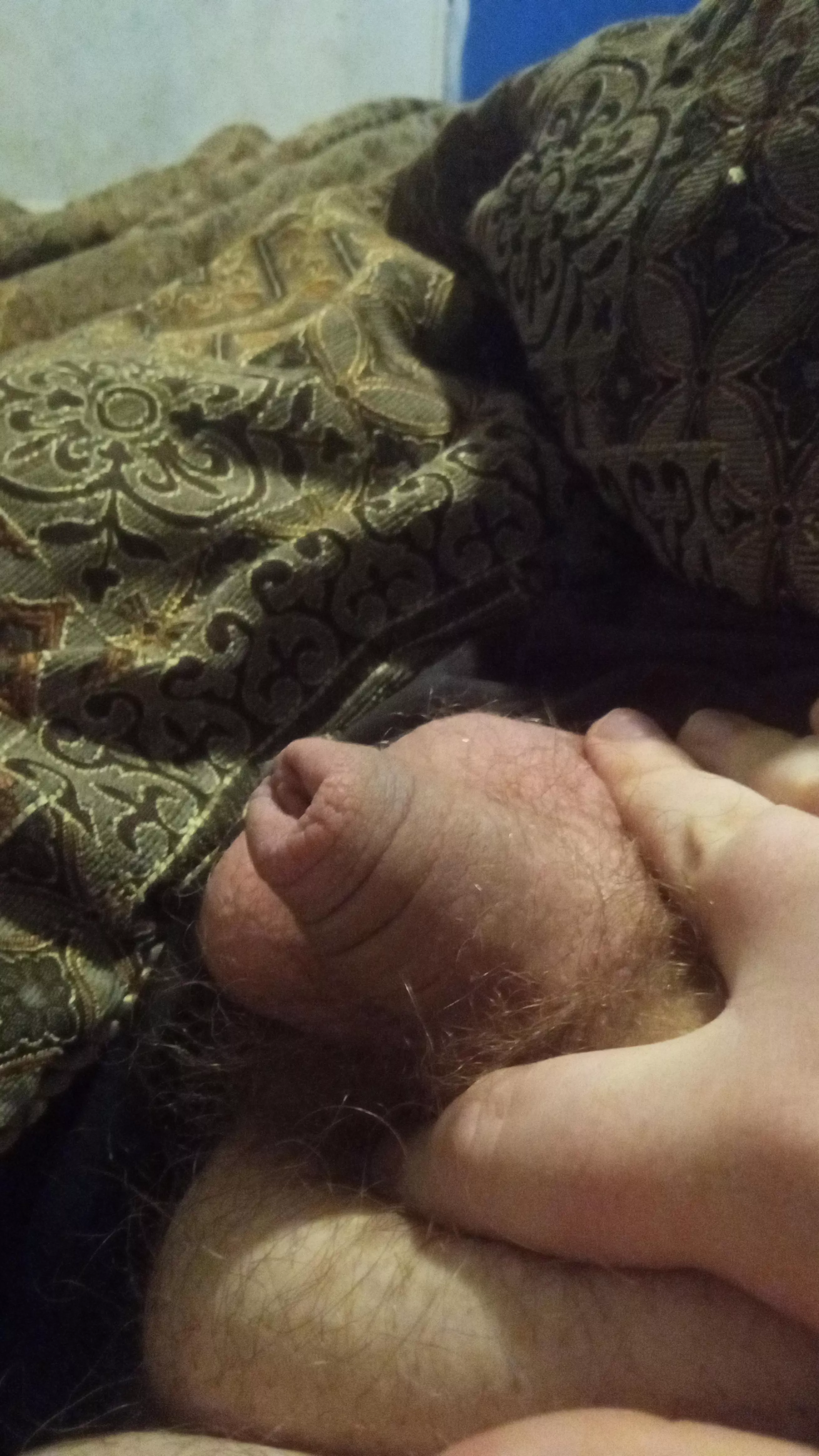 What would you do with it or do to it