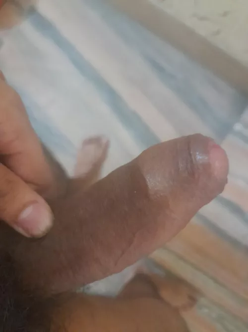 Will just leave it here