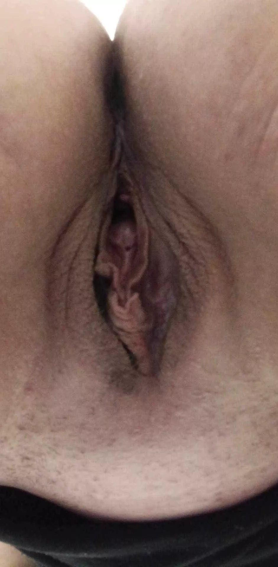 Would you taste a mommy pussy?