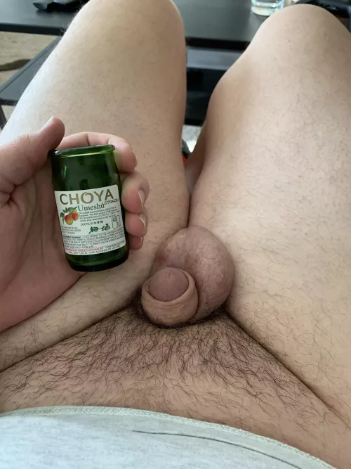 A little plum sake to get the thanksgiving day started