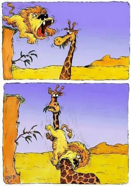 Found this in the archives 