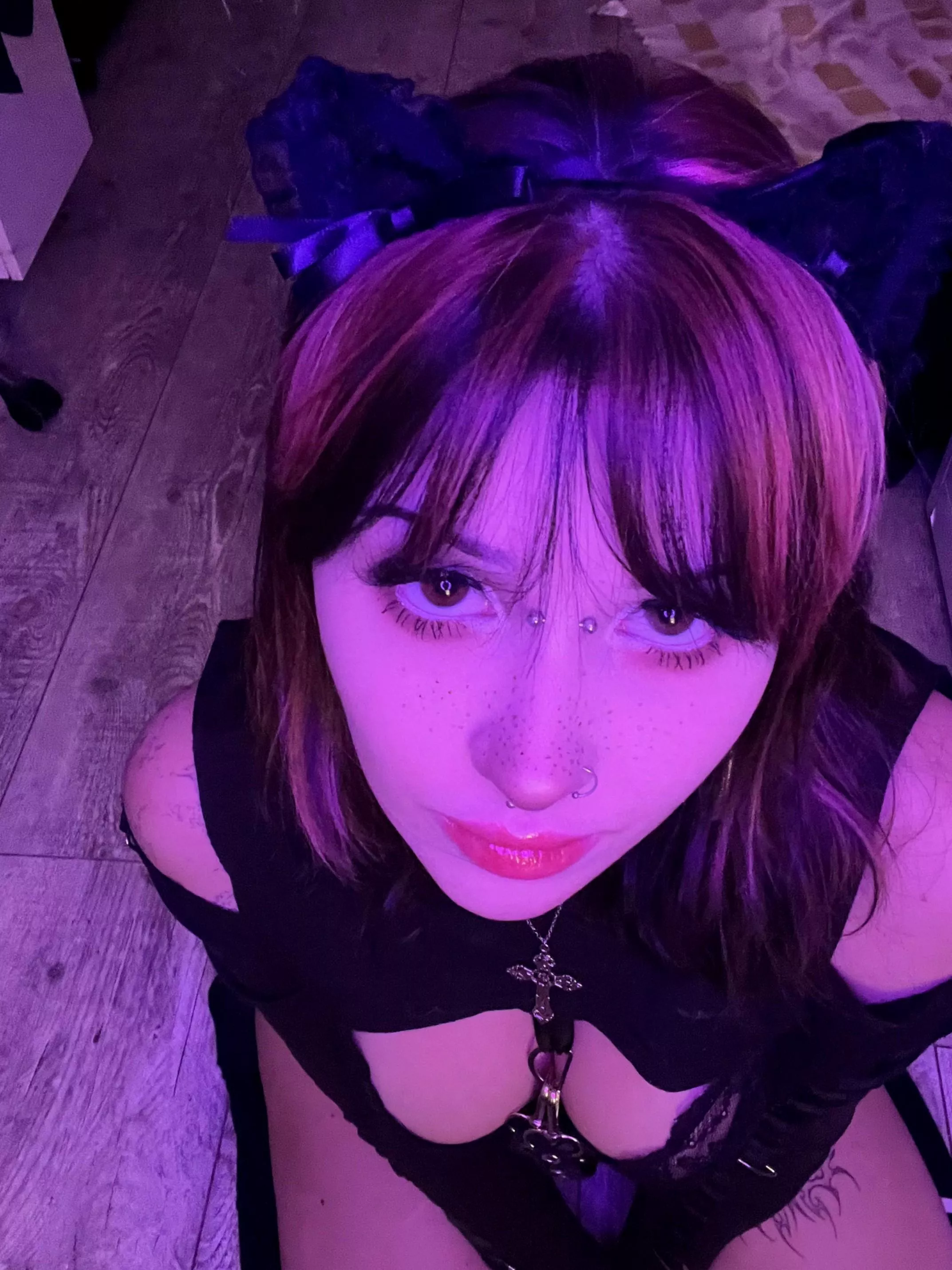 i look innocent but trust me, this kitten can get wild ;)