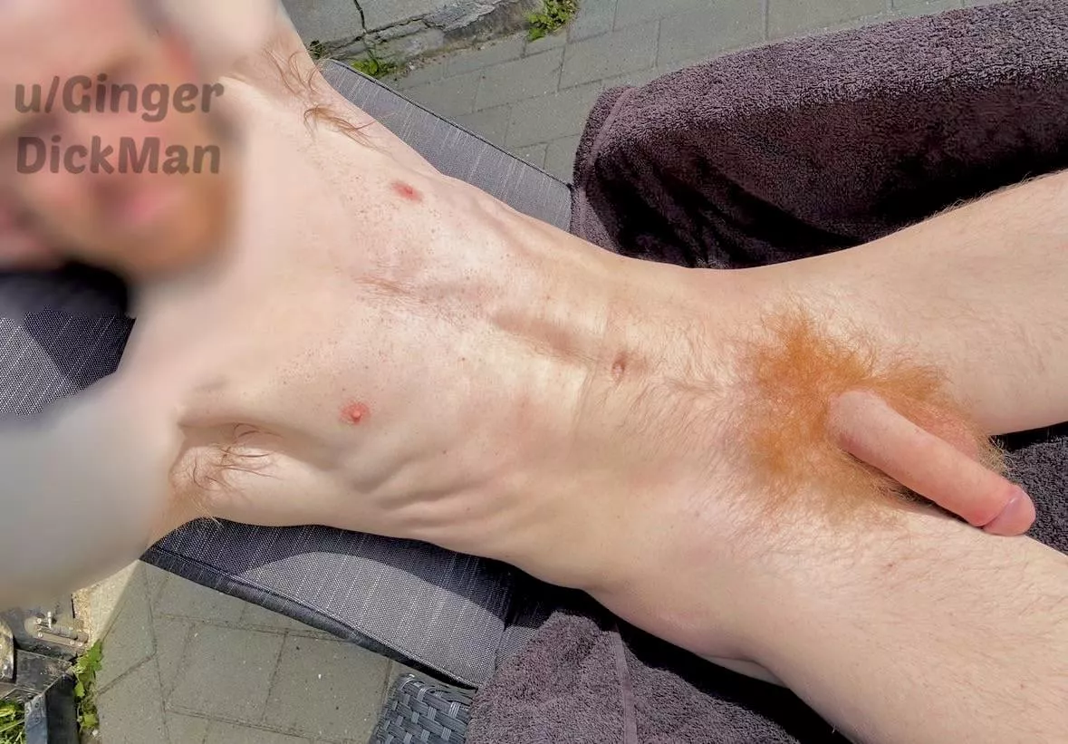 My ginger pits. Is that a go or no go 