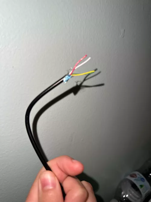 no black wire