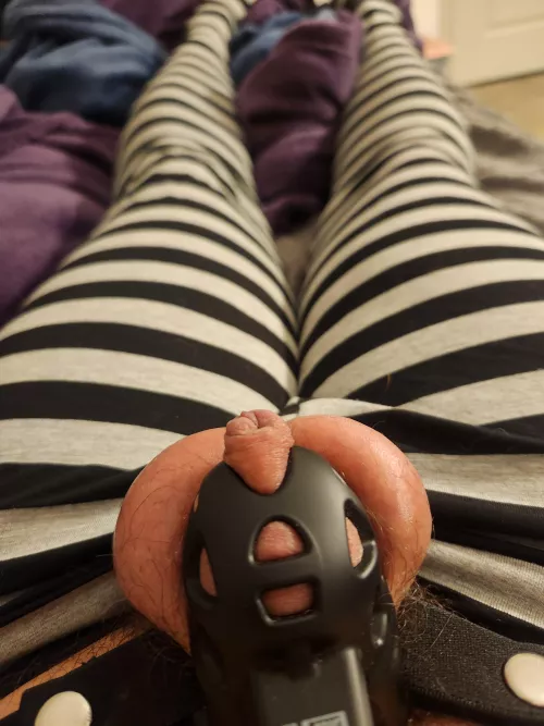 Please Tell me to go Permanent