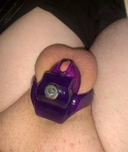 Should I go permanent 